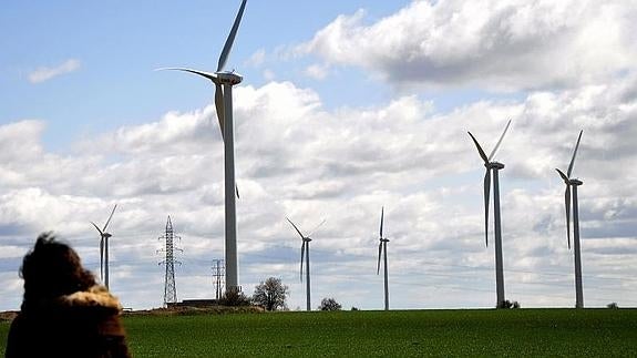 Vista parcial de un parque elólico en Medina del Campo (Valladolid). / FRN JIMÉNEZ