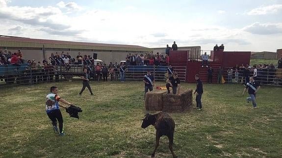 Varios jóvenes en la suelta de vaquillas