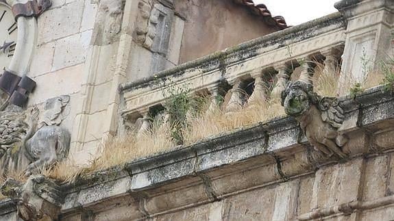 Imagen de malas hierbas 'comiéndose' el viejo Ayuntamiento