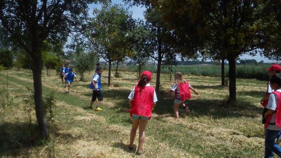 Un grupo de alumnos del CRA Guareña, durante la visita a las instalaciones de la Diputación de Zamora.