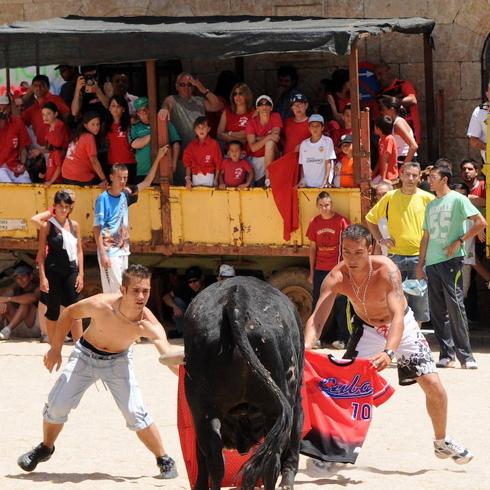 Unos mozos citan a un toro en unas pasadas fiestas de Fuentesaúco. 