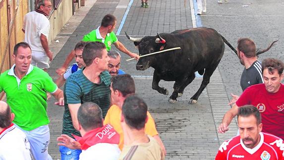 Corredores en un encierro de Cuéllar. 