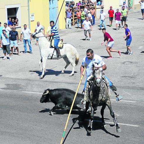 El caballo pudo mantener el equilibrio tras tropezarse con el toro que había resbalado. 