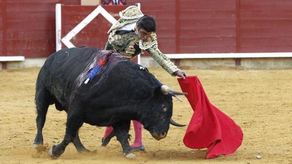 Perera se estira al natural con 'Catedrático'.