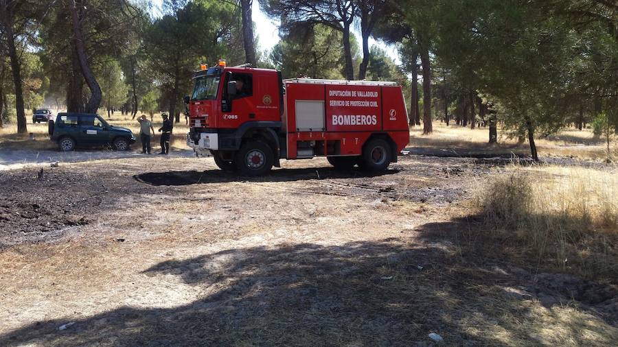 Incendio en un pinar próximo al casco urbano de Pedrajas de San Esteban