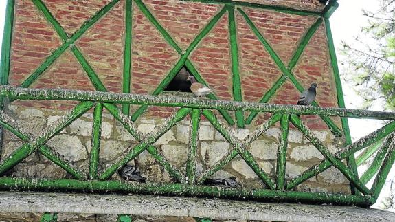 Palomas en el parque de los Jardinillos, de Palencia.