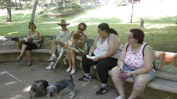 Propietarios de perros con sus mascotas en un parque de Palencia.