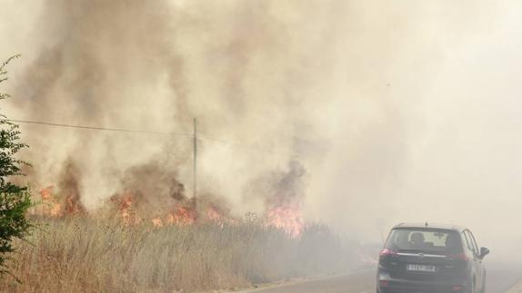 Incendio en Laguna de Duero 