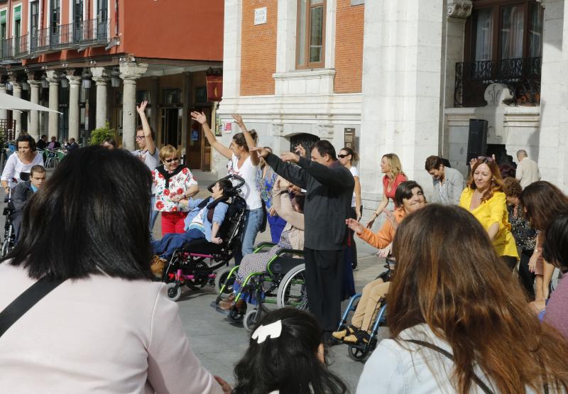 'Flash movie' en la Plaza Mayor. 
