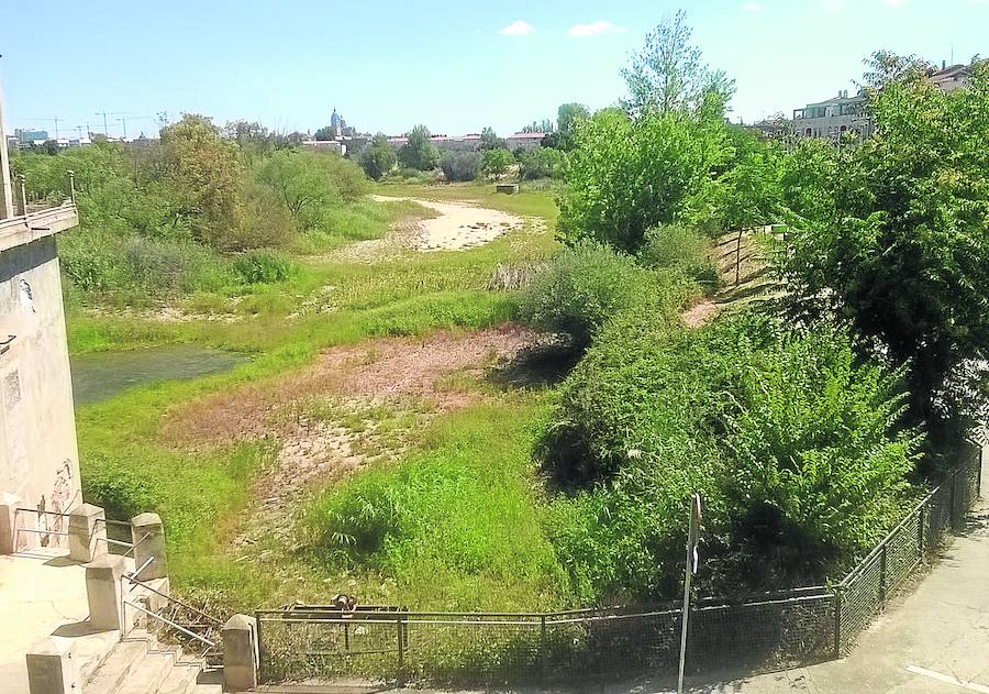 Estado actual de la zona de la pesquera de Tejares, sin agua, y presa del abandono, la desidia y la suciedad.