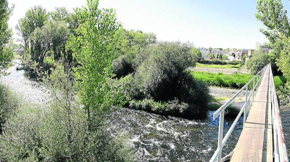 Vista panorámica de la pesquera del barrio de Tejares. 