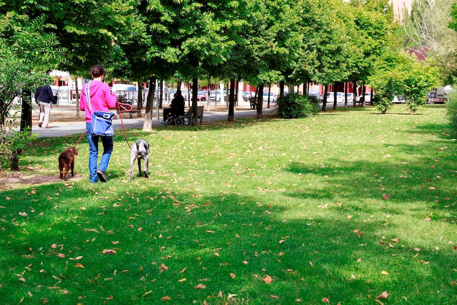 Zona en la que se ubicará el parque para los perros