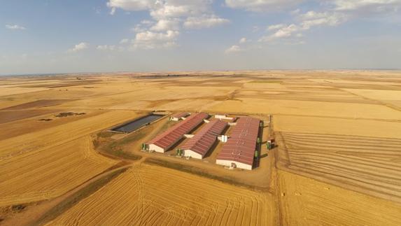 La Granja Sanglas de San Cebrián de Castro opta al premio Porc d'or del Magrama