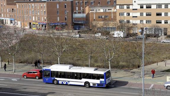 Valladolid tendrá su quinto mercadillo los viernes en la calle Vinos de Rueda