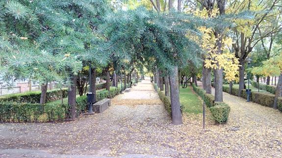 Otoñada en los jardines del parque Gómez Pamo.