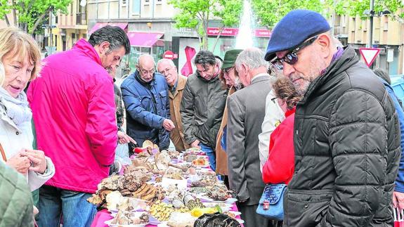 Aficionados y curiosos observaron las setas en la calle Wences Moreno. 