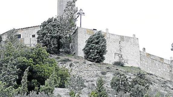 Detalle del estado abandonado de la vegetación en el cerro del Otero, a los pies de la estatua del Cristo.