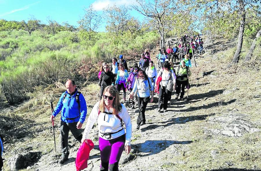 350 personas participaron ayer en la cuarta Ruta del Otoño Serrano.