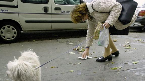 El 'ADN canino' para multar por las heces de los perros en la calle incluiría a 2.600 animales