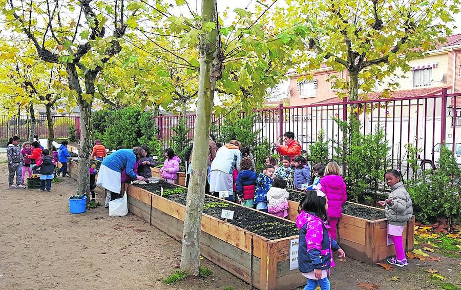 Escolares participantes en uno de los huertos.