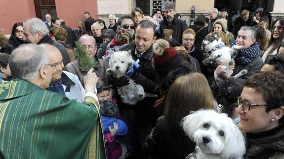 Foto del día de la celebración de San Antón del año pasado