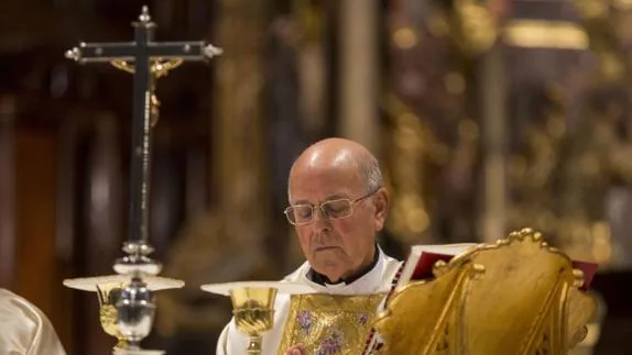 El cardenal arzobispo de Valladolid, Ricardo Blázquez,