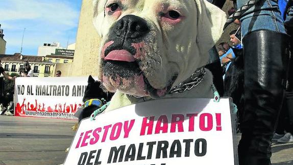 Manifestantes en un encuentro contra el maltrato animal. 