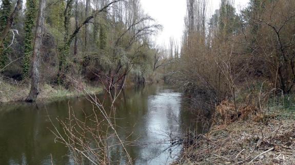 Un tramo del río Cega. 