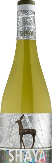 Botella de Shaya. El Norte