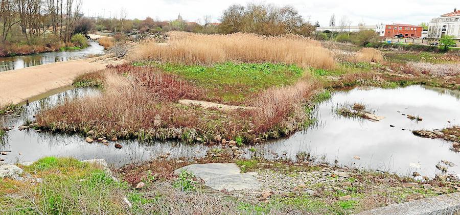 La zona ha recuperado algo de vida con las lluvias, pero el deshielo puede terminar con lo que queda de estructura si el caudal del río aumenta. 