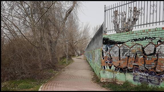 El largo paseo de la ribera del Pisuerga con otra mirada