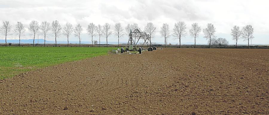 Explotación de regadío en Fuentes de Nava. 