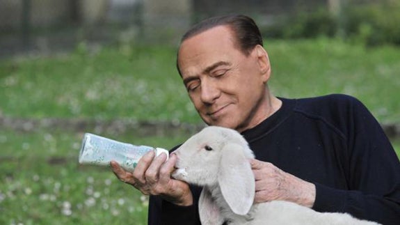 Berlusconi da el biberón a uno de los cinco corderos que ha adoptado. 