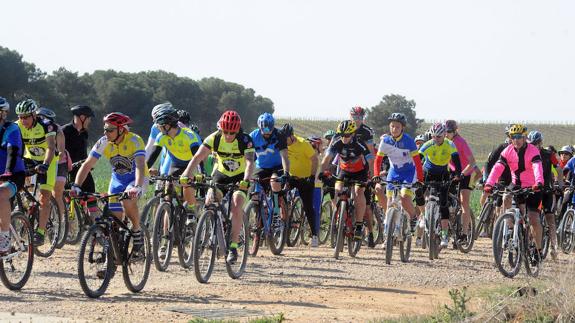 Participantes en la marcha cicloturista celebrada ayer en uno de los tramos del recorrido, que transcurrió entre viñedos de la DO Rueda.