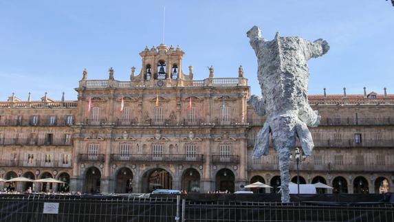 El 'Gran Elefantdret' lleva ya varios días en la Plaza Mayor de Salamanca. 