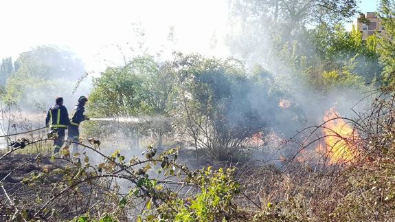 Los bomberos trabajan para extinguir el incendio. 