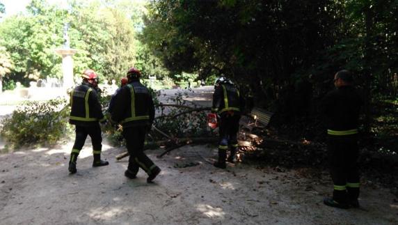 Los Bomberos trocean el árbol caído en la tarde de ayer en uno de los paseos del Campo Grande próximos a la fuente de La Fama.