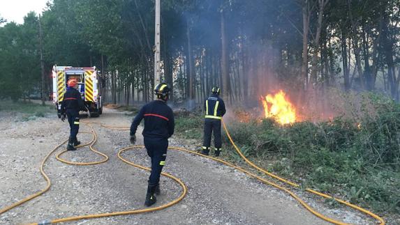 Arde una chopera junto al puente de Villamuriel