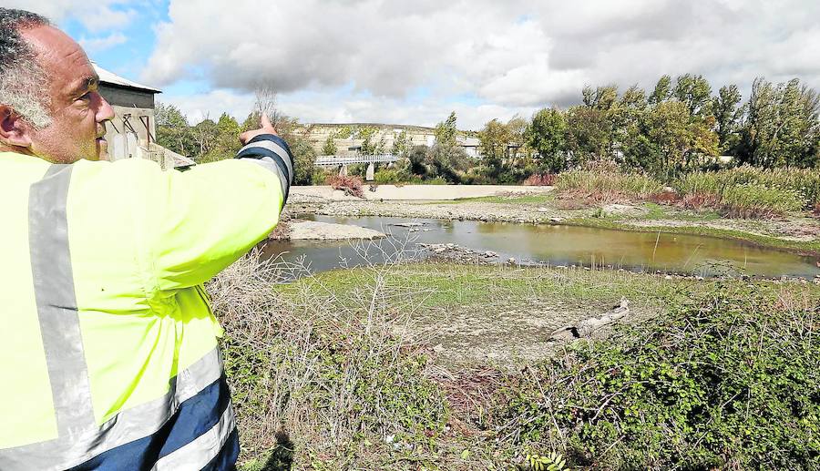 Un trabajador de los servicios municipales señala la pesquera de Tejares.