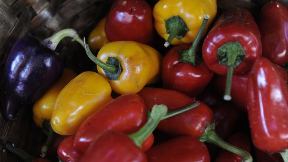 El pimiento, color para sibaritas