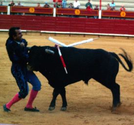 Susto en Laguna por una cornada en el cuello al subalterno Leonardo Palacios