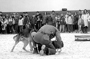 Los niños observan la demostración de un agente. / EL NORTE