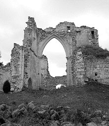 Ruinas del monasterio de San Pelayo de Cevico Navero. / EL NORTE