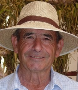 «Este año la cosecha viene algo más tardía debido a las lluvias»