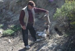 Un cazador sujeta un conejo atrapado por un hurón. / PEPE CATALÁ