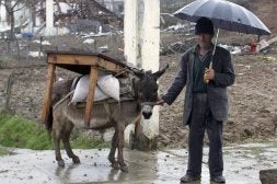 Un hombre utiliza un burro para llevar sus enseres cerca de Tirana, un transporte aún en uso en este país./ ARBEN CELI-REUTERS