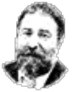 El timonel blanco