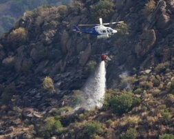 Un foco en Portugal pasa a Salamanca y otros dos amenazan dos pueblos