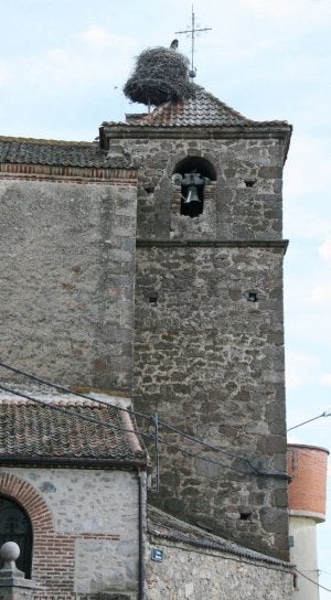 Iglesia de Zarzuela del PInar. ::
M. RICO