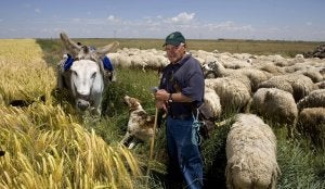 El pastor que apacienta las ondas